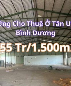 Xưởng Tại Tân Uyên Bình Dương