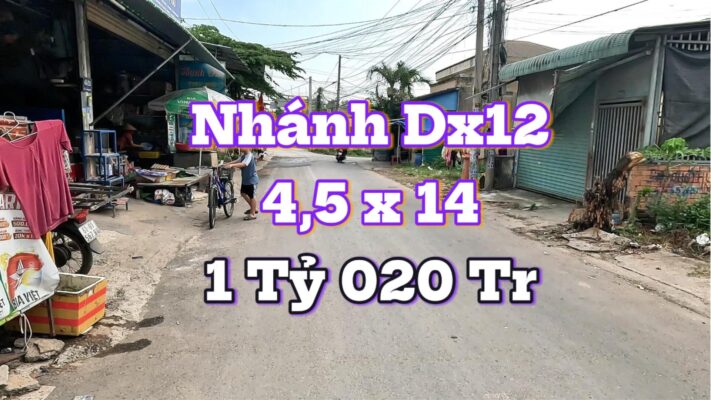 Bán Nhà Cấp 4 Mặt Tiền DX12 Tân Vĩnh Hiệp - Vị Trí Trung Tâm Tân Uyên