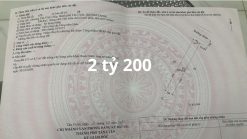 Bán Đất Mặt Tiền Đường DX10 Tân Vĩnh Hiệp - Cơ Hội Đầu Tư Sinh Lời Tại Tân Uyên