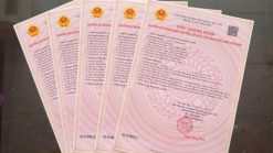 Bán Nhà Phường Tân Bình Dĩ An - TPHCM Giá Rẻ 1.47 Tỷ