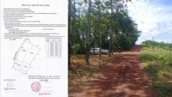 Bán Đất làm Kho Xưởng Bắc Tân Uyên Bình Dương