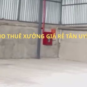 CHO THUÊ XƯỞNG GIÁ RẺ TÂN UYÊN – BÌNH DƯƠNG, VÀO XƯỞNG NGAY! Xưởng 1.200m², PCCC chuẩn, 3 pha, đường xe tải 8 tấn – Giá chỉ 45 triệu/tháng