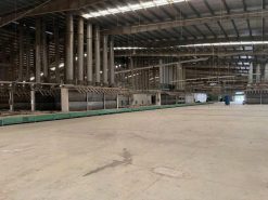 Alternative view of Cho Thuê Xưởng Tại Tân Uyên - Bình Dương