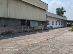 Cho thuê nhà xưởng Bắc Tân Uyên Bình Dương